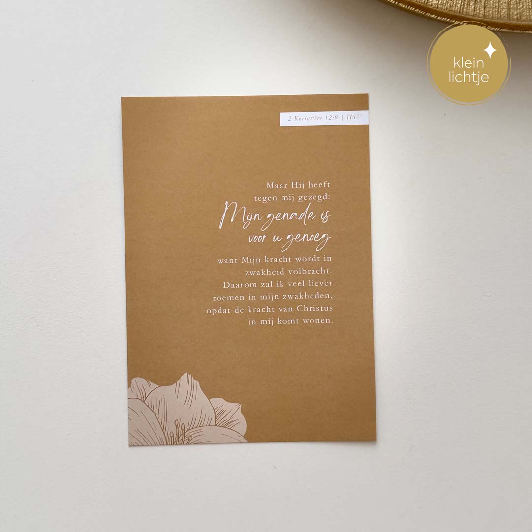 Gebedskaarten LGG Gods wijsheid - Afbeelding 8