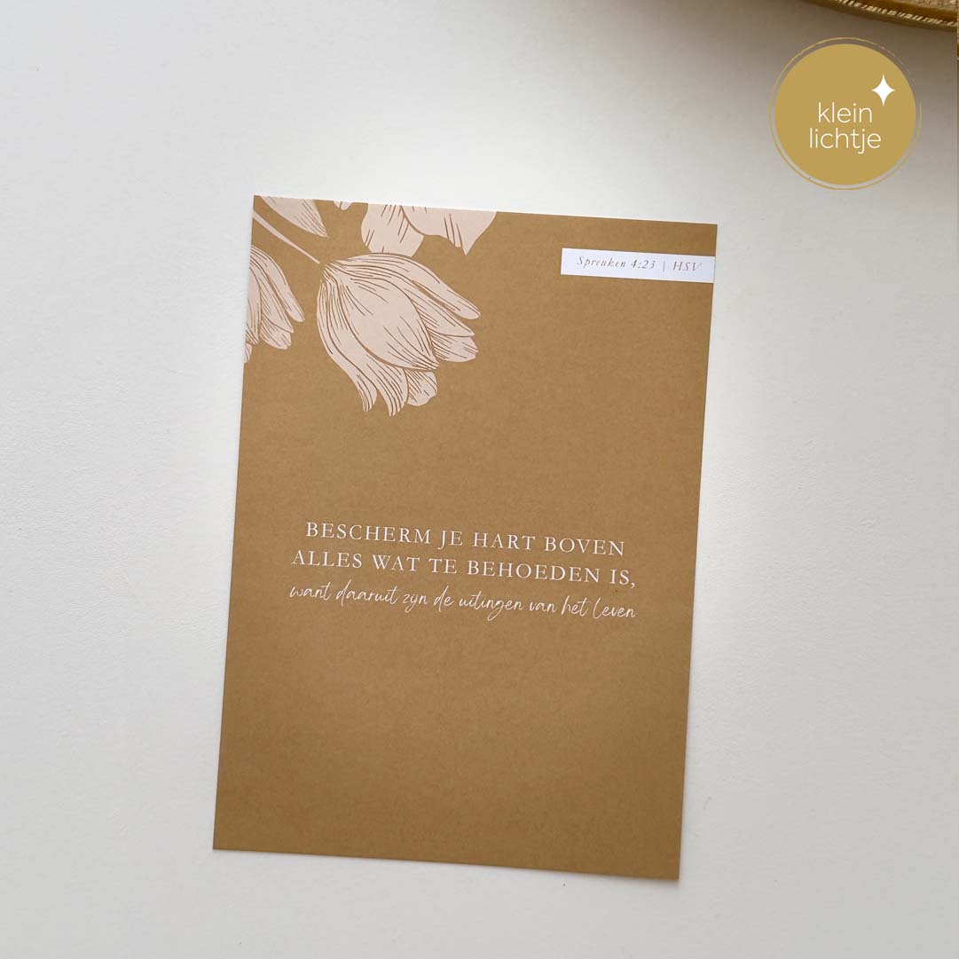 Gebedskaarten LGG Gods wijsheid - Afbeelding 7