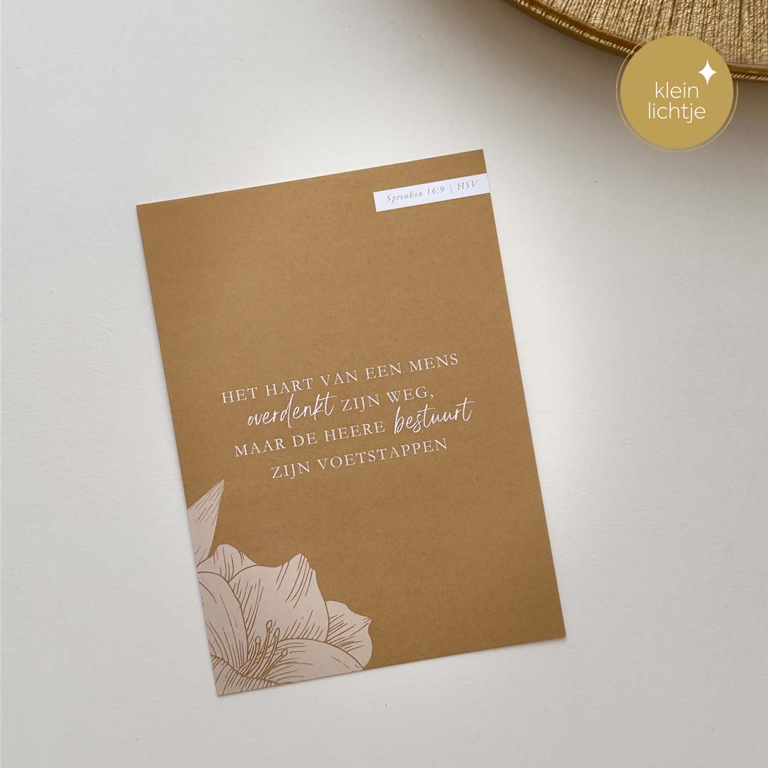 Gebedskaarten LGG Gods wijsheid - Afbeelding 5